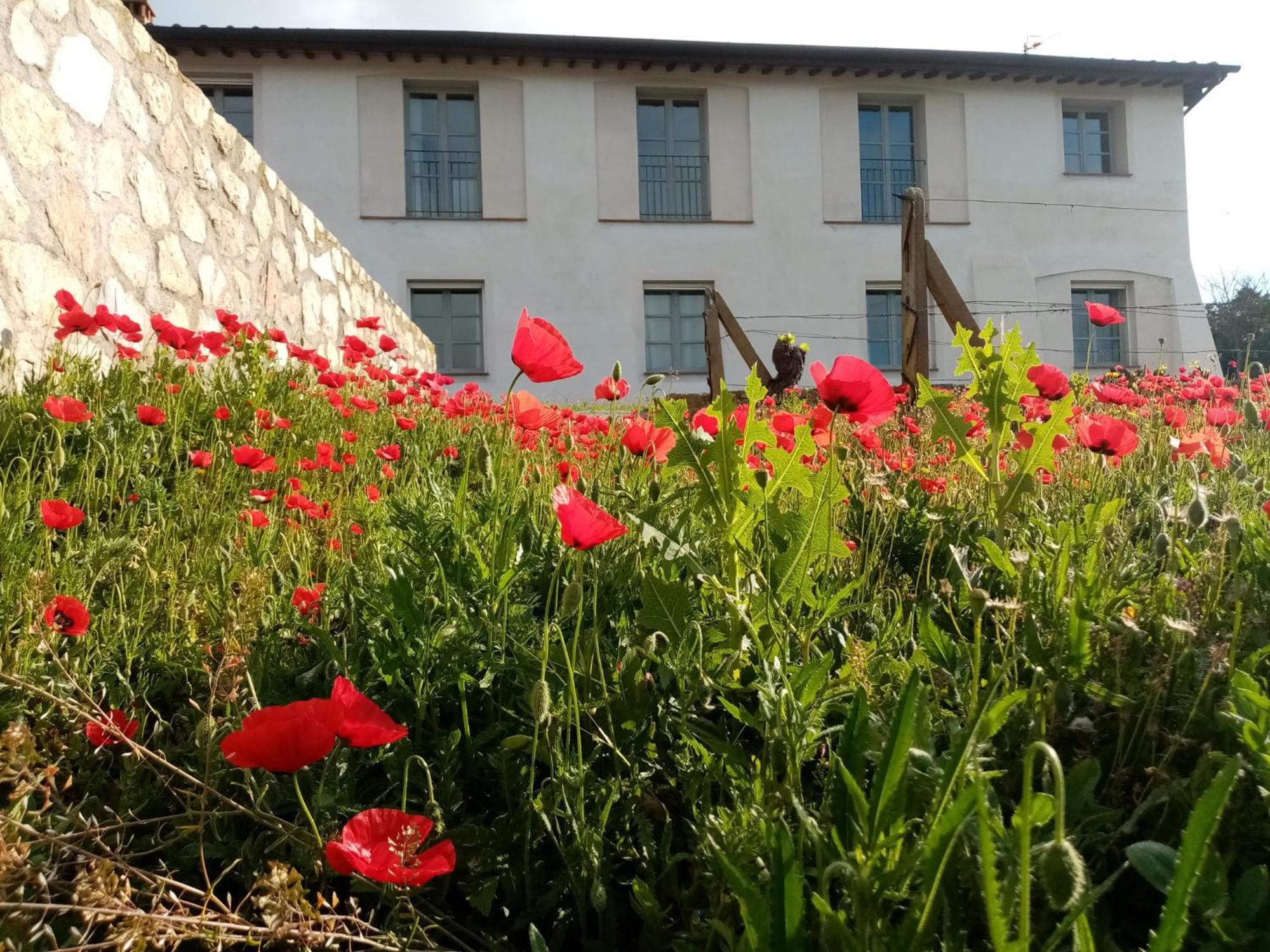 Aparthotel La Chiusa Di Rio Rio dellʼElba Zewnętrze zdjęcie